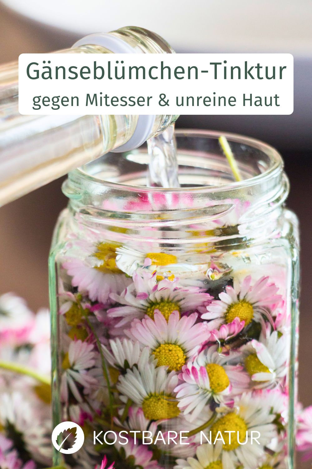 Das Gänseblümchen enthält viele wertvolle Inhaltsstoffe, die du in einer Tinktur konservieren und das ganze Jahr über nutzen kannst.