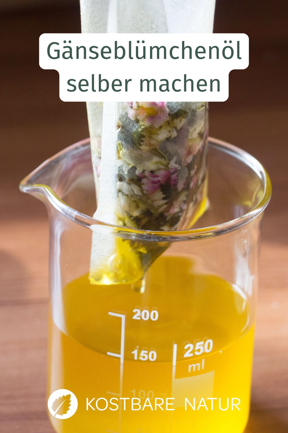 In einem selbst gemachten Gänseblümchenöl kannst du dir die zahlreichen Wirkstoffe des Gänseblümchens zunutze machen! Wie einfach das geht, erfährst du hier.