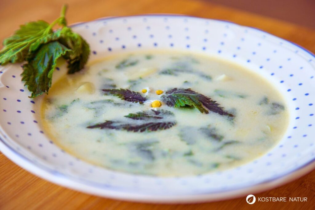 Brennnesselsuppe in Teller