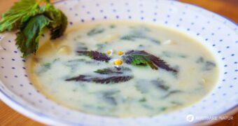 Brennnesselsuppe zubereiten leicht gemacht. Wildkräuter Rezept mit frischen Brennnesseln und Kartoffeln. Ideal vom Frühjahr bis Herbst.
