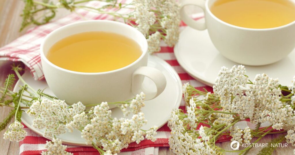 Als Schafgarbentee hilft die bekannte Heilpflanze bei Wunden, Magenkrämpfen, Menstruationsschmerzen und vielem mehr.