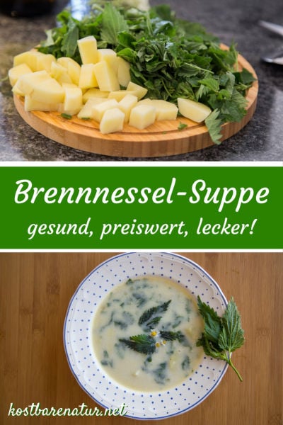 Die Brennnessel ist nicht nur eine wunderbare Heilpflanze, auch in der Küche bereichert sie viele Speisen, so zum Beispiel diese leckere Sommersuppe.