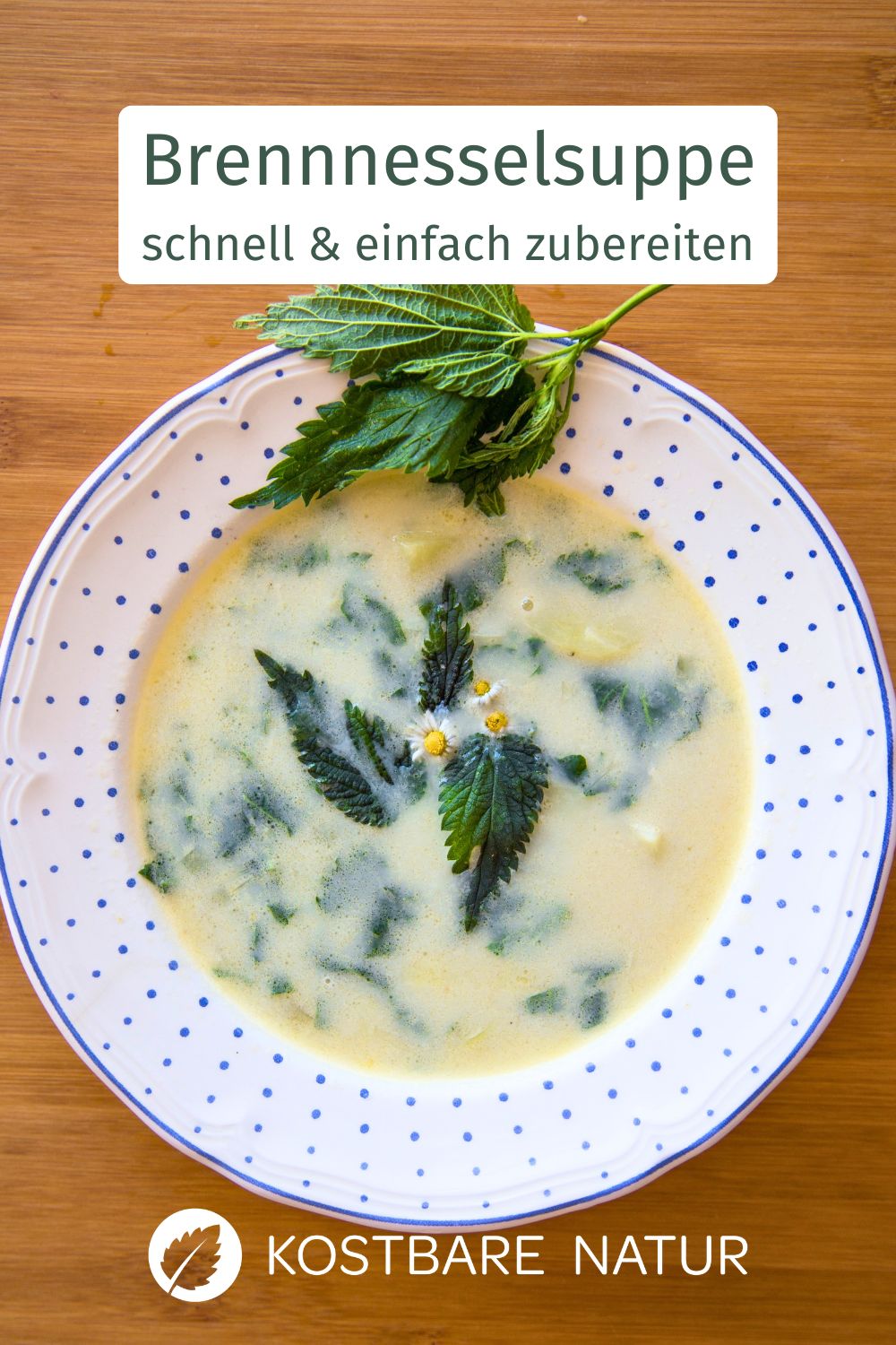 Brennnesselsuppe zubereiten leicht gemacht. Wildkräuter Rezept mit frischen Brennnesseln und Kartoffeln. Ideal vom Frühjahr bis Herbst.
