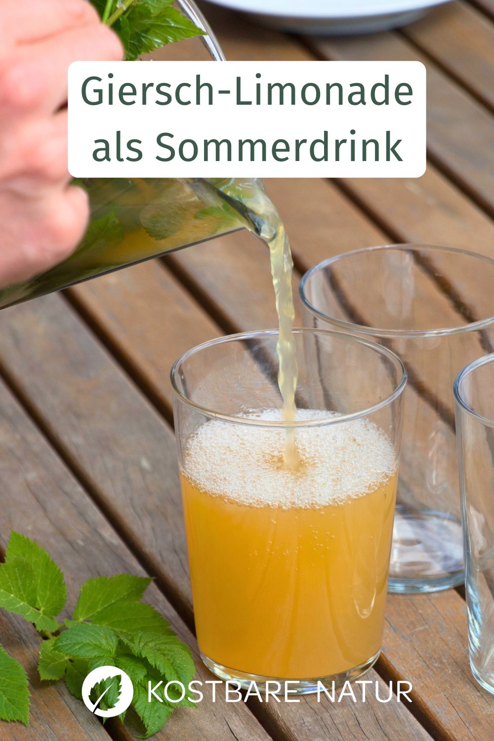 Gierschlimonade selber herstellen leicht gemacht. Erfrischendes Wildkräuter Rezept mit Giersch, Apfelsaft und Zitrone. Ideal für den Sommer.