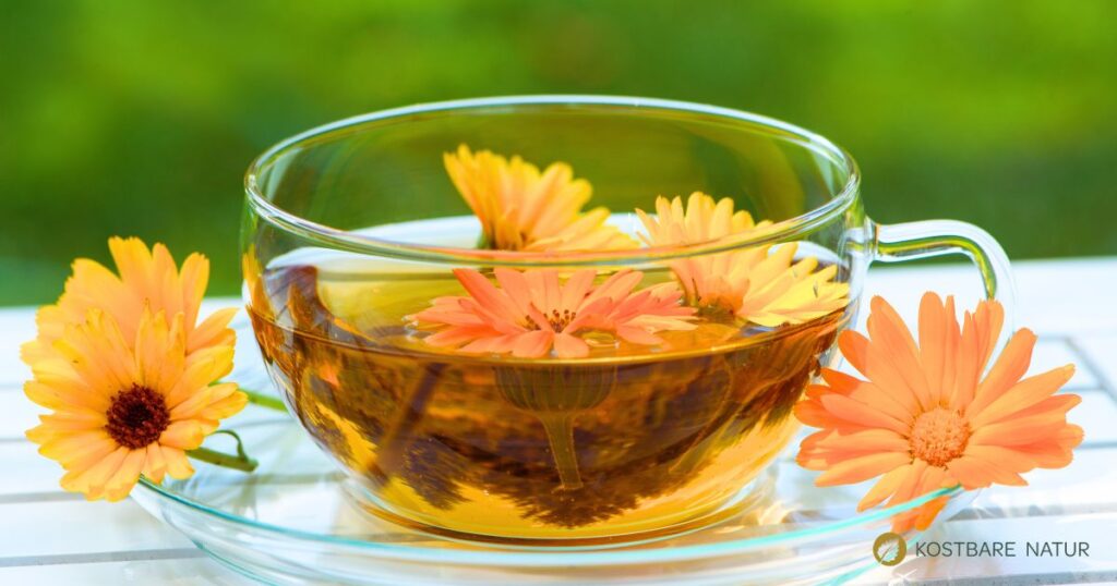 Ringelblumentee nutzt die Kraft der schönen Ringelblume, um Magenbeschwerden, Entzündungen und Verdauungsprobleme zu lindern.