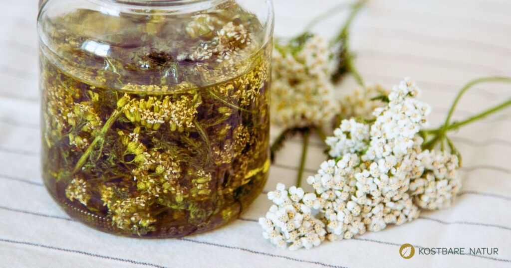 Die weit verbreitete Schafgarbe ist ein wirksamen Arzneikraut, das dir in als Schafgarbenöl bei Unterleibskrämpfen und Migräne helfen kann.