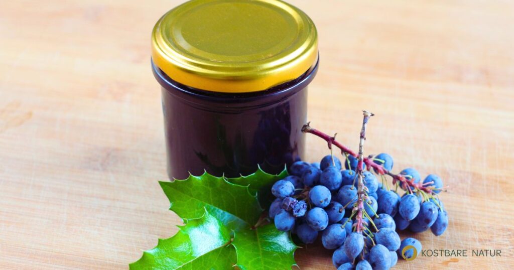 Koche Saft aus den Beeren der häufig vorkommenden Mahonie ein und du erhältst nicht nur ein leckeres fruchtig-säuerliches Gelee aus Mahonienbeeren.