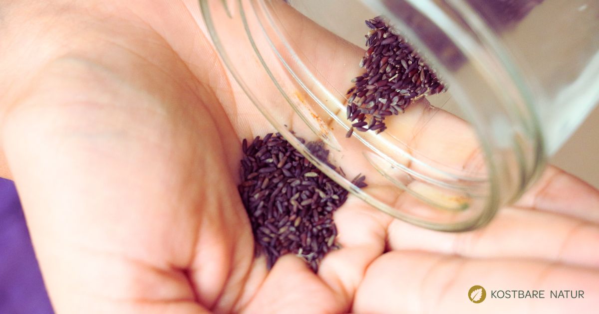 Die Knoblauchsrauke ist als Wilder Senf bekannt. Ihre Samen schmecken ähnlich scharf. So machst du Senf daraus!