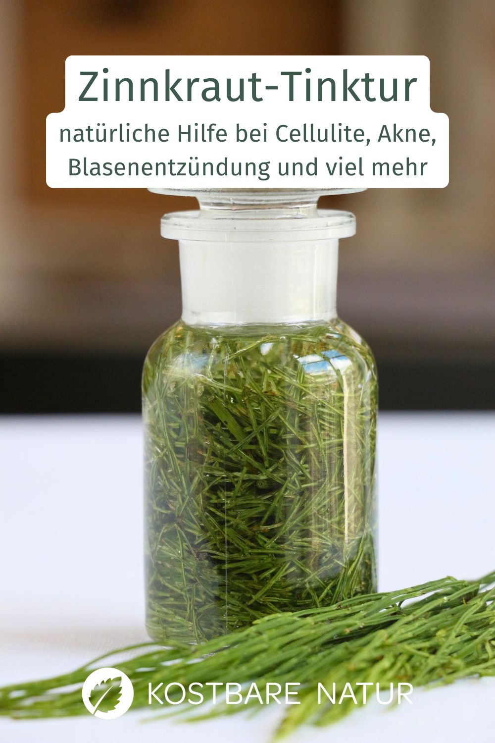 Das vermeintliche Unkraut Ackerschachtelhalm hat viele heilende Eigenschaften und kann z.B. bei Cellulite, Blasenentzündung und Akne helfen.