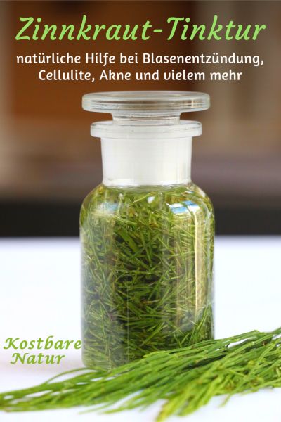 Das vermeintliche Unkraut Ackerschachtelhalm hat viele heilende Eigenschaften und kann z.B. bei Cellulite, Blasenentzündung und Akne helfen.