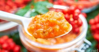 Die Beeren der Eberesche sind nicht für Vögel gesund. Verwerte die Vitamin-C-haltigen Vogelbeeren z.B. in dieser herben Soße für deftige Gerichte.