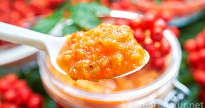 Die Beeren der Eberesche sind nicht für Vögel gesund. Verwerte die Vitamin-C-haltigen Vogelbeeren z.B. in dieser herben Soße für deftige Gerichte.
