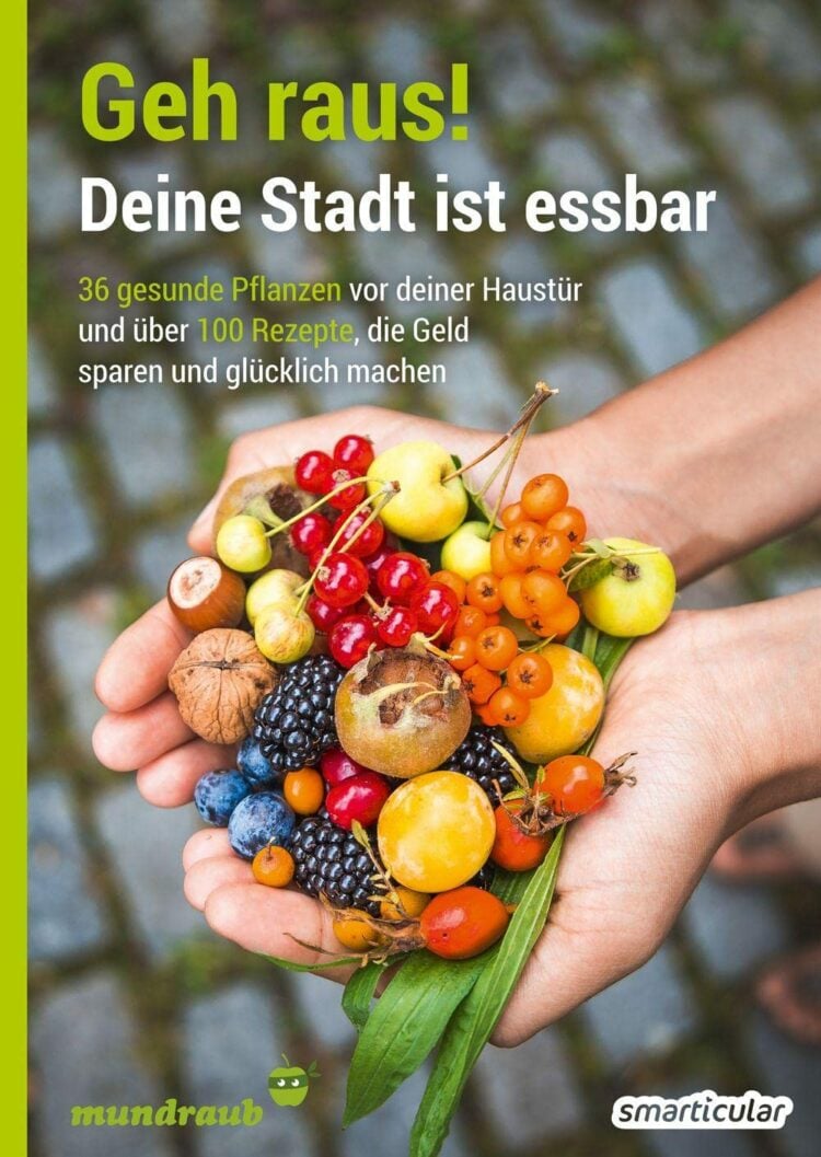 Bärlauch pflanzen im Garten Kostbare Natur