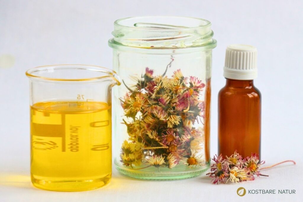 Pflanzenöl und getrocknete Gänseblümchen