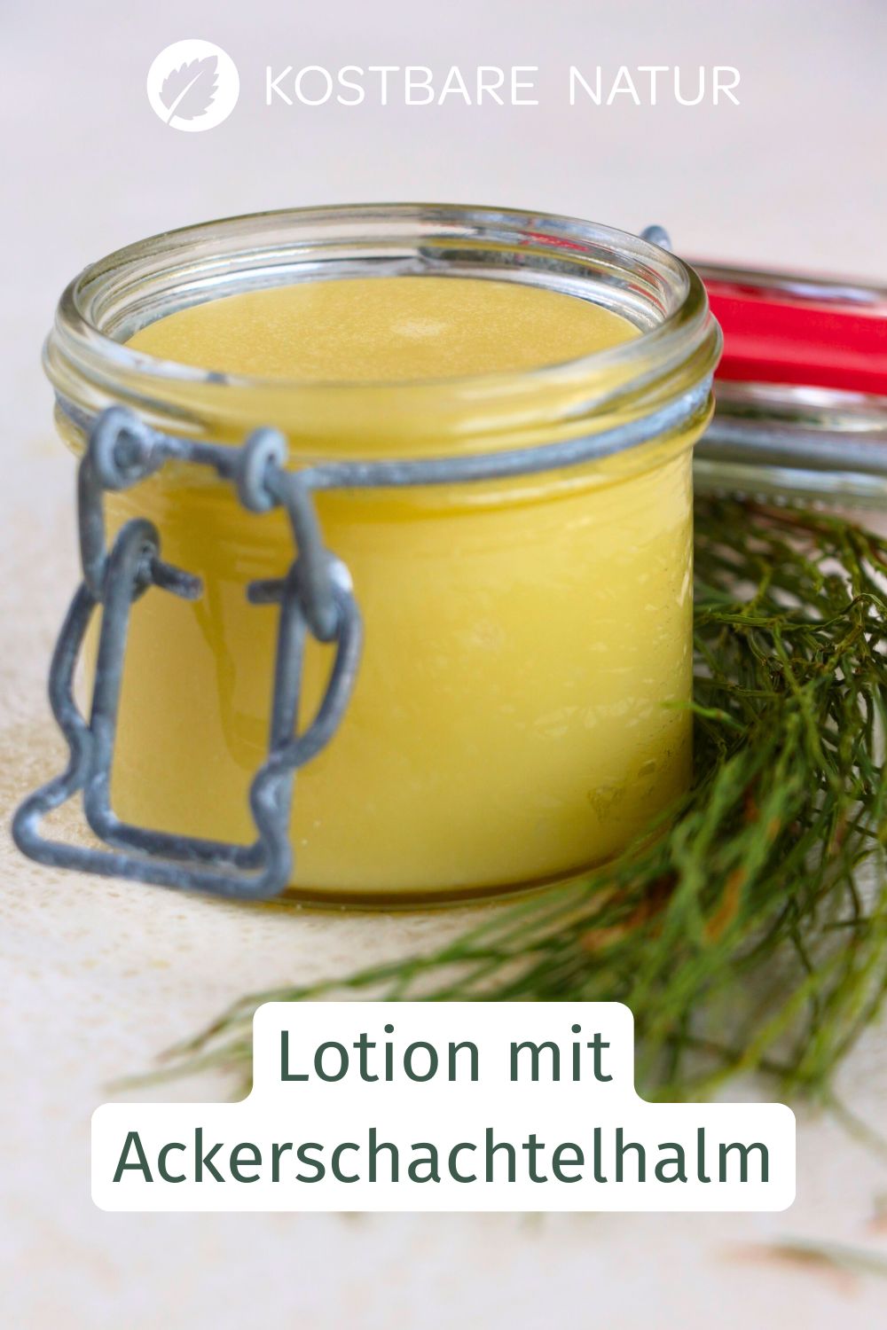 Hier erfährst du, wie man aus Ackerschachtelhalm eine leichte Lotion anrührt – inklusive Tipps zu Hygiene, Haltbarkeit und Anwendung.