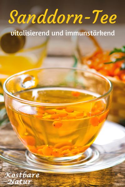 Die Vitamin C-Bombe Sanddorn ist der ideale Begleiter in der kalten Jahreszeit. Nutze seine Kraft in einem aromatischen und gesunden Tee.