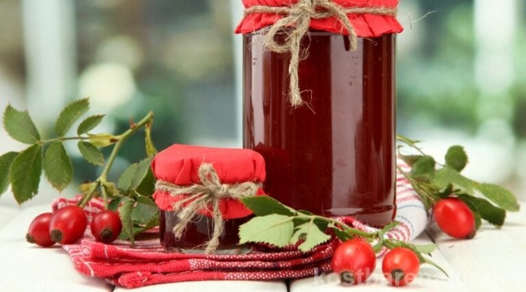 Gesunde Hagebutten-Marmelade einfach selber machen