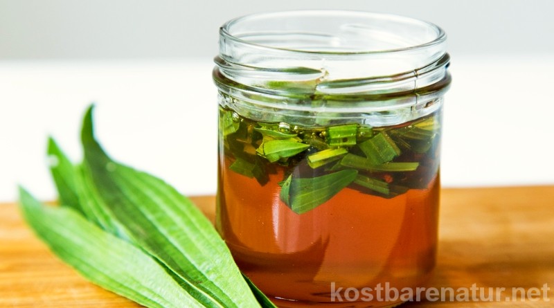 Nutze Honig als Alternative zu Alkoholtinkturen, um gesunde Wirkstoffe von Heilkräutern haltbar zu machen.