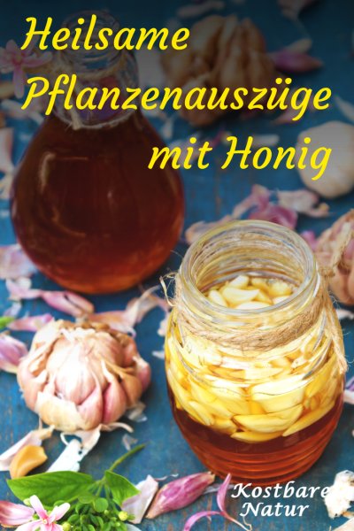 Nutze Honig als Alternative zu Alkoholtinkturen, um gesunde Wirkstoffe von Heilkräutern haltbar zu machen.