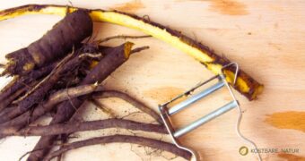Mit diesem Klettenwurzel-Rezept kannst du gesunde Wurzel schmackhaft zubereiten und ihre Heilkräfte im Winter nutzen.