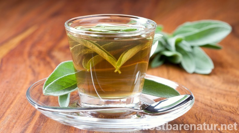 Salbei ist mehr als ein Gewürz und kann auf sanfte aber wirkungsvolle Weise bei zahlreichen Beschwerden helfen. Probiere doch mal einen heilenden Tee mit Salbeiblättern!