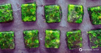 Bärlauch einfrieren klappt schnell und unkompliziert. So kannst du die kurze Saison verlängern und ihn das ganze Jahr über genießen.