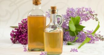 Die Blüten des Flieders mit ihrem betörend-aromatischen Aroma sind nicht nur schön anzusehen. Probiere doch mal dieses Rezept für köstlichen Blütensirup!
