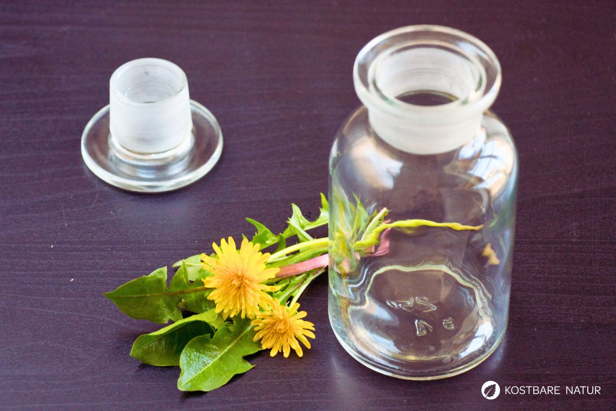Löwenzahn und Apothekerglas