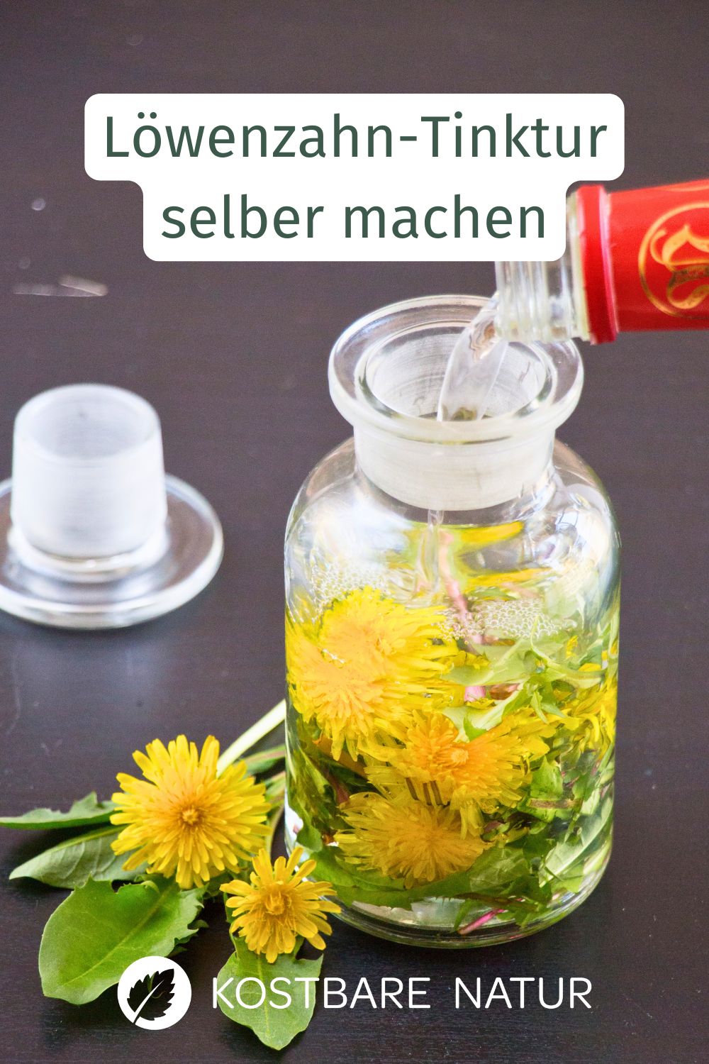 Löwenzahn ist eine starke Heilpflanze! Nutze ihn als heilkräftige Löwenzahntinktur für deine Gesundheit gegen Frühjahrsmüdigkeit und mehr.