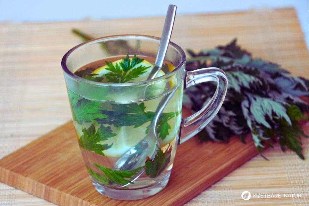 Beifußtee in Glas