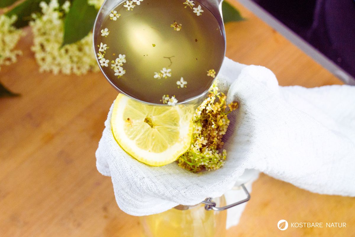 holunderbluetensekt-rezept-2 (1) abfiltern