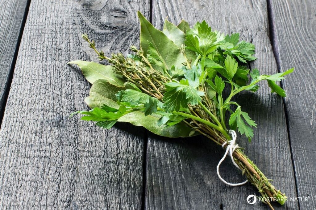Lorbeer ist ein aromatischer Küchenklassiker mit heilender Tradition. Erfahre Geschmack, Anwendung, Anbau und Wirkung.