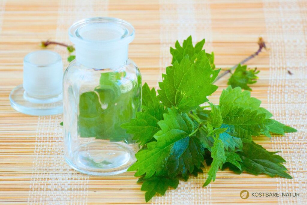 Brennnesseln und Glas