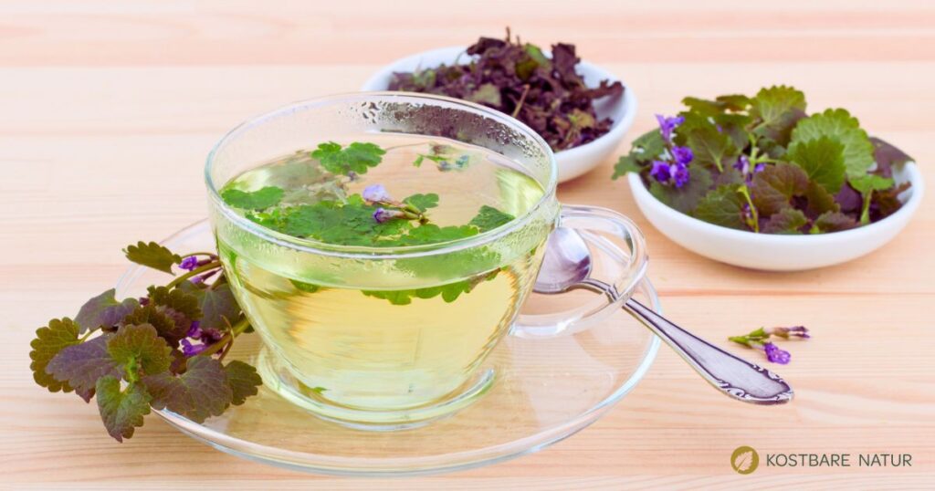 Gundermanntee hat ein feines Aroma und lässt sich ganz leicht selber zubereiten. Er ist heilkräftig und lindert unter anderem Erkältungssymptome und Frühjahrsmüdigkeit.