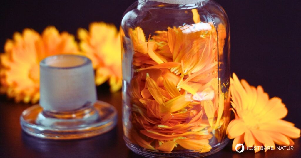 Bei Entzündungen im Rachenraum, Quetschungen und Verdauungsproblemen kann eine Ringelblumentinktur Linderung verschaffen.