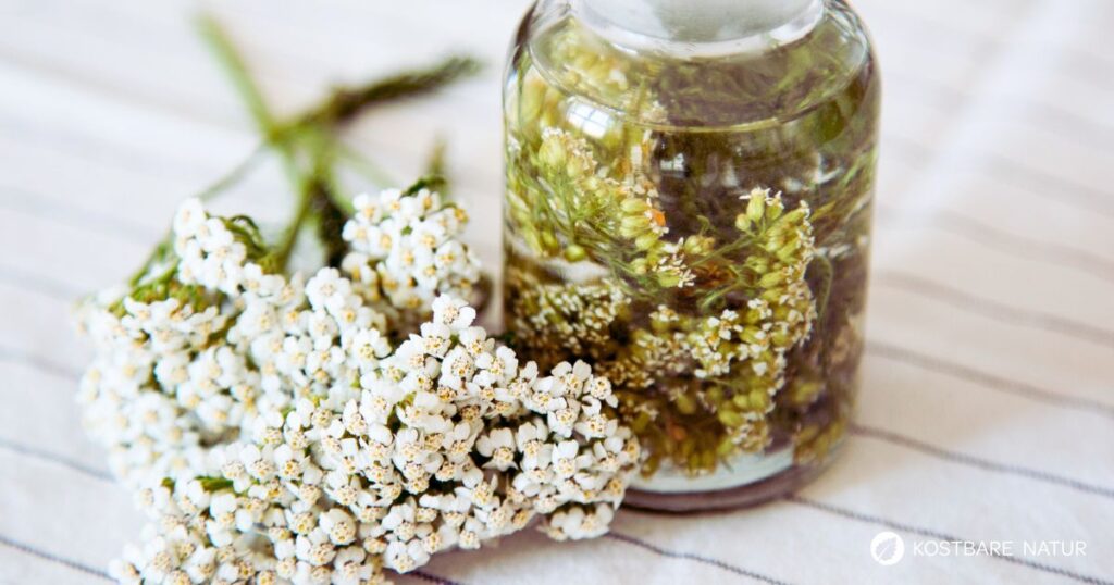 Die Schafgarbe ist auf fast jeder Wiese zu finden. Seine Heilkraft gegen kannst du dir in Form einer Schafgarbe-Tinktur zunutze machen.