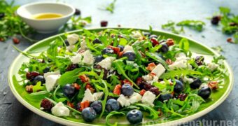 Fast vergessen: Die Heidelbeere eignet sich nicht nur zum Naschen und als Zutat für Kuchen und Süßspeisen, sie besitzt auch überraschend vielfältige Anwendungsmöglichkeiten als Heilpflanze.