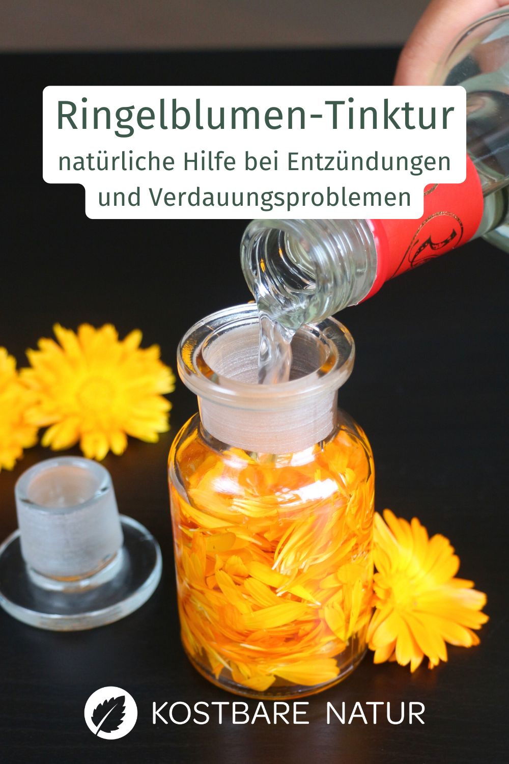 Bei Entzündungen im Rachenraum, Quetschungen und Verdauungsproblemen kann eine Ringelblumentinktur Linderung verschaffen.