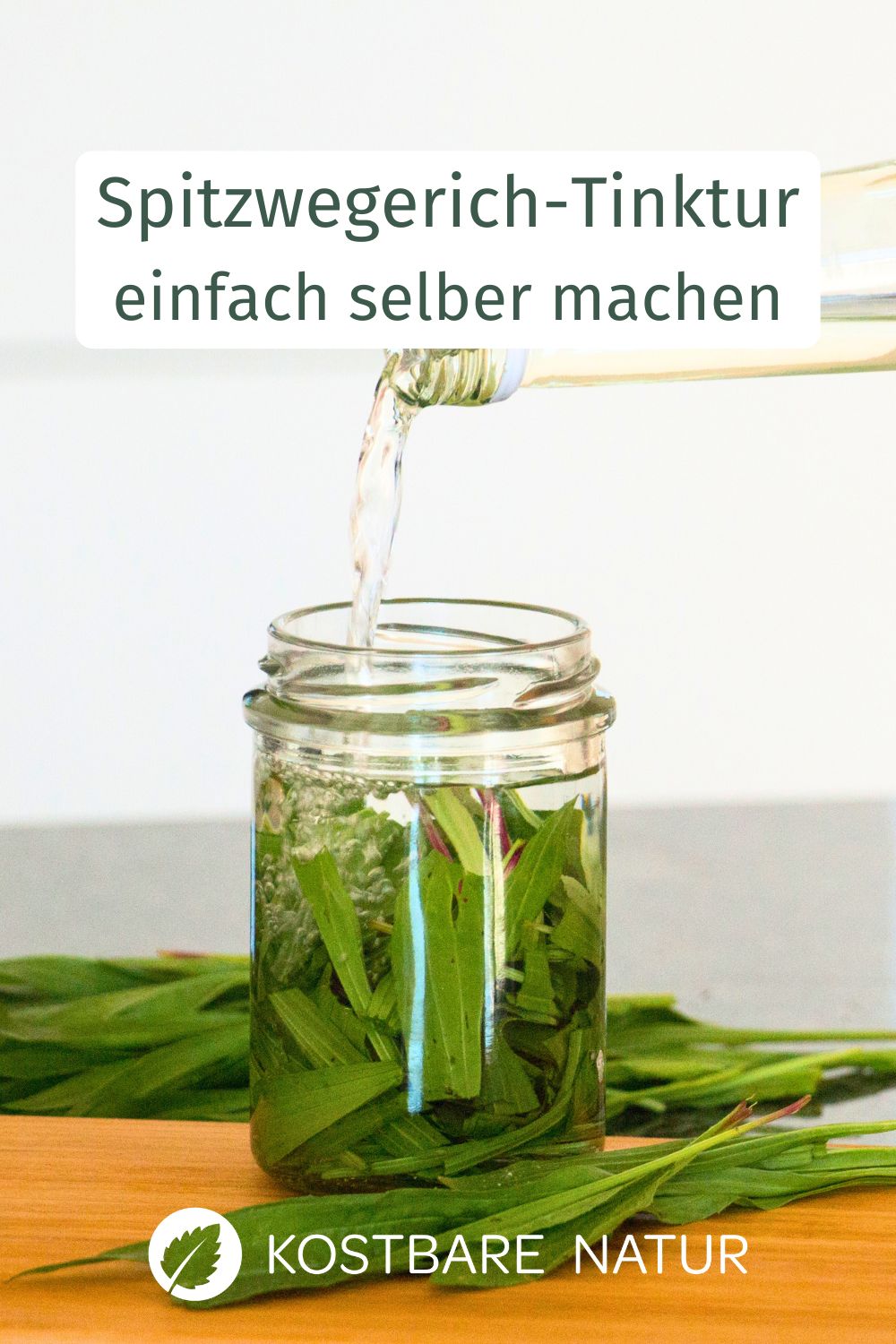 Nutze Spitzwegerich-Tinktur als praktische Hilfe bei Mückenstichen. So stellst du dir ein günstiges Hilfsmittel für unterwegs her.