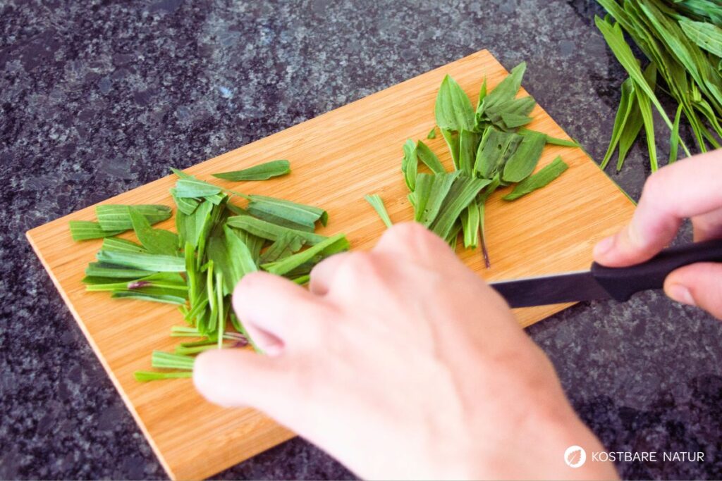 Spitzwegerich schneiden