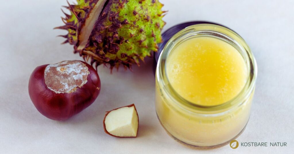 Die heilsame Wirkung der Rosskastanie in einer selbstgemachten Salbe - gegen schwere Beine, Gelenkbeschwerden, Entzündungen und mehr.