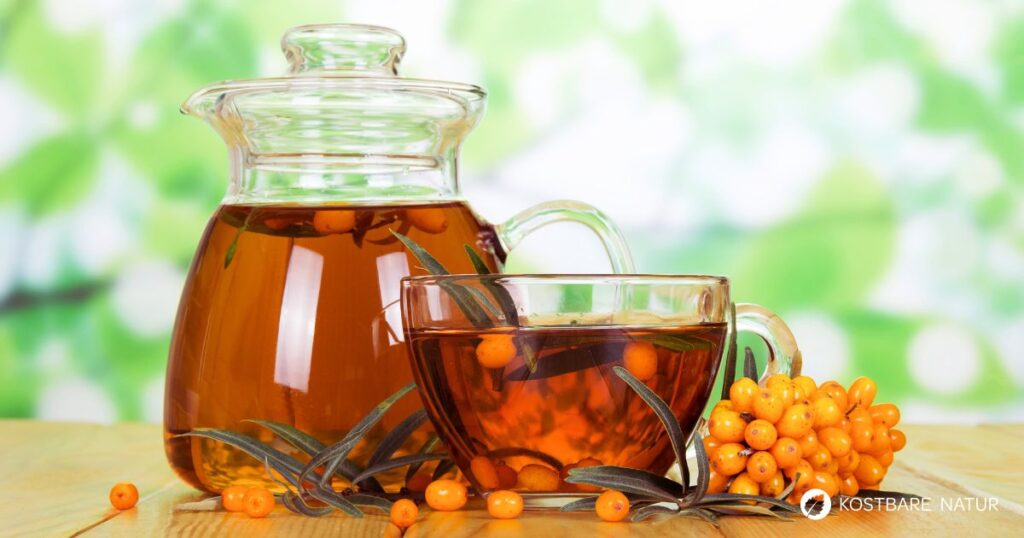 Die Vitamin C-Bombe Sanddorn ist der ideale Begleiter in der kalten Jahreszeit. Nutze seine Kraft in einem gesunden Sanddorn-Tee.