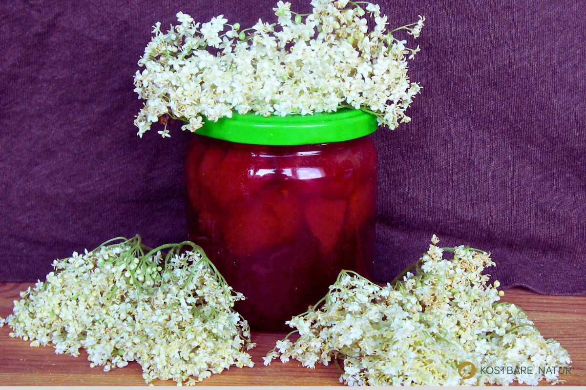 Rezept Holunderblüten-Marmelade mit Erdbeeren