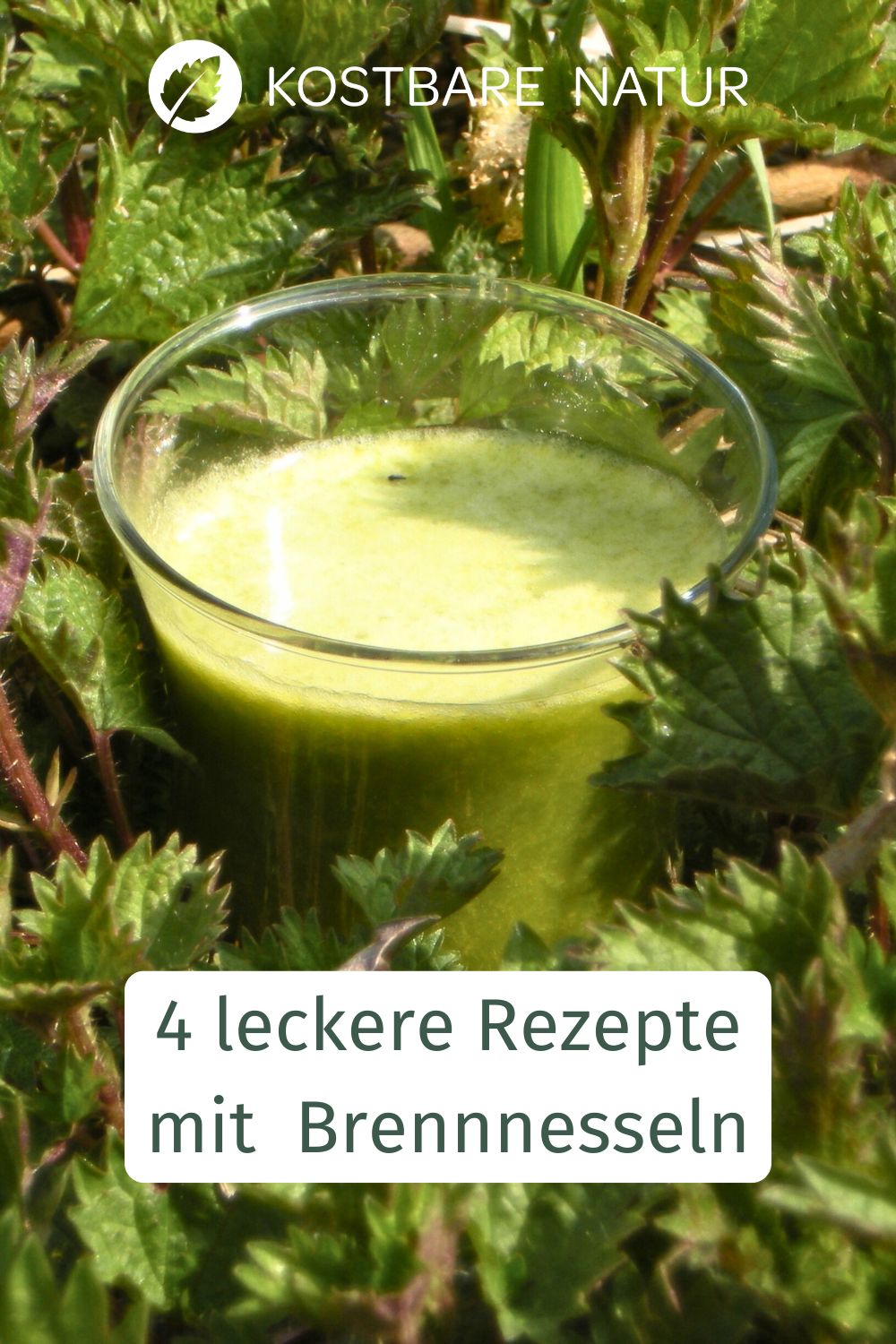 Mit diesen Brennnessel-Rezepten sorgst du für Abwechslung in der Küche und überzeugst sogar Wildkräuter-Skeptiker.