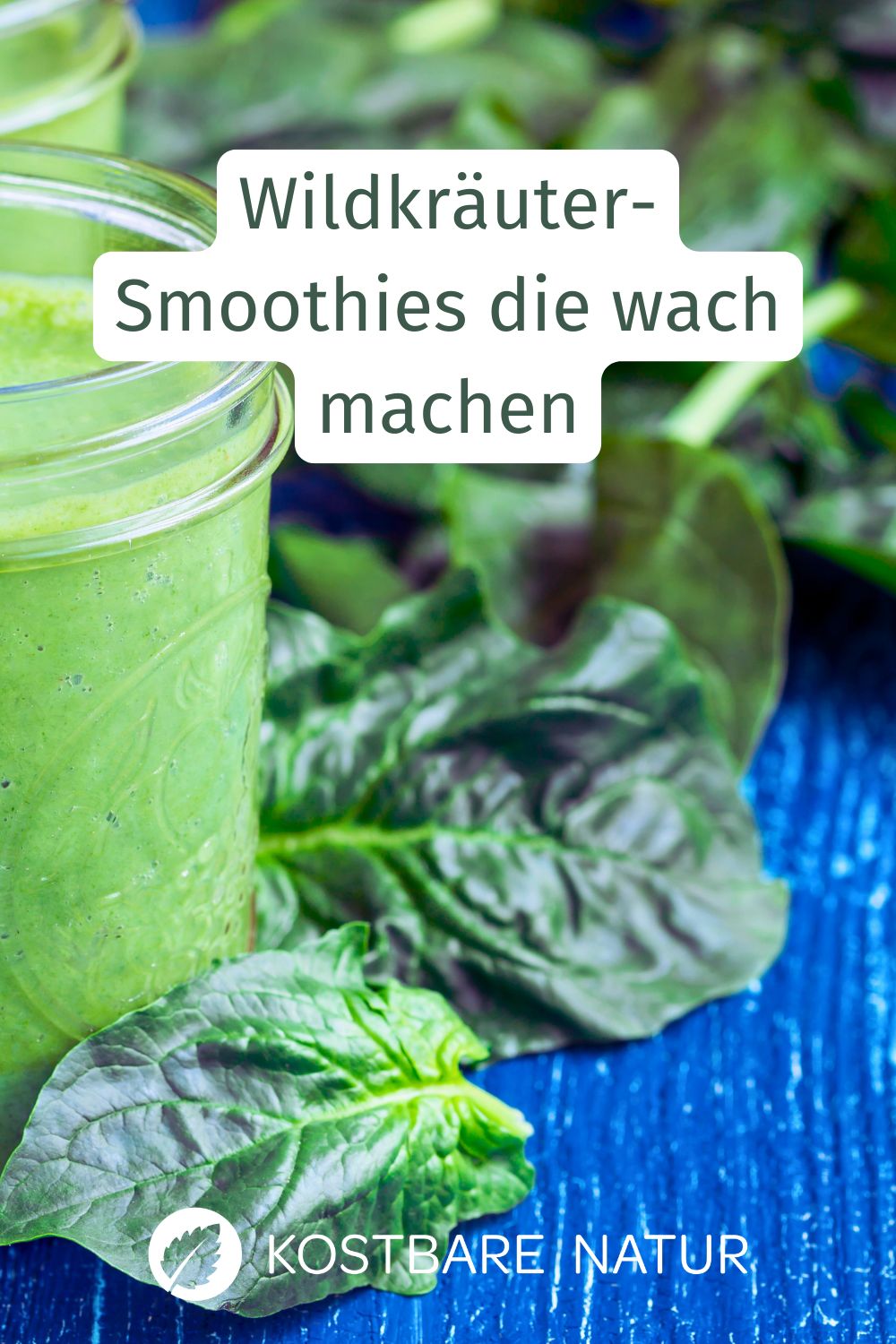 Vergiss Nachmittagstiefs! Wildkräuter-Smoothies mit Giersch & Labkraut schenken nachhaltige Energie. Entdecke Rezepte, Tipps und mehr.