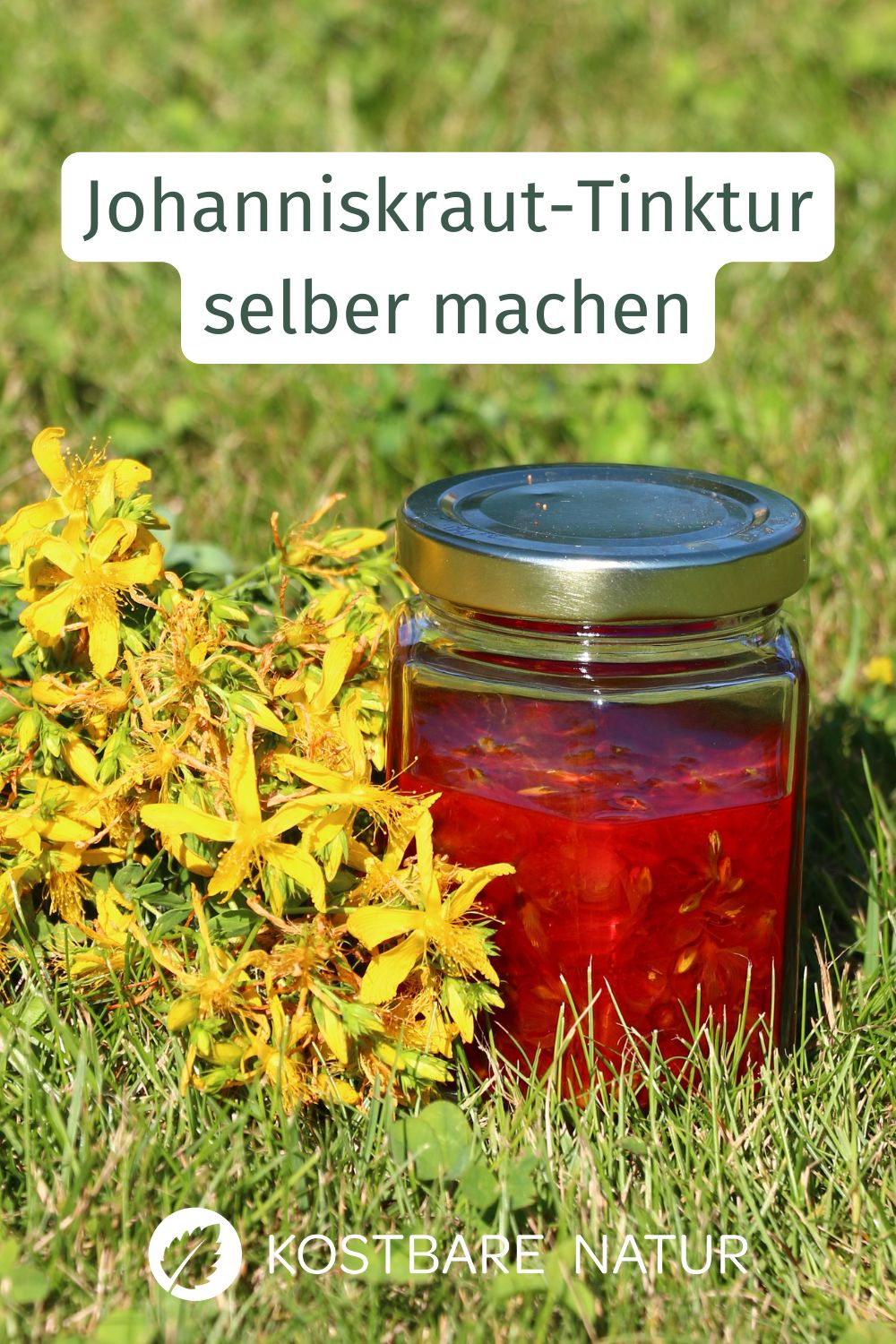 Die Kraft des Johanniskrauts kannst du mit einer selbst angesetzten Tinktur aufbewahren und nutzen, z.B. bei Winterdepressionen und Schlaflosigkeit.