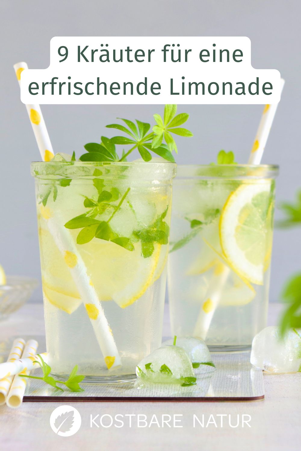Ein gesundes Erfrischungsgetränk lässt sich leicht selber machen. Probiere doch einmal diese köstliche Wildkräuterlimonade!