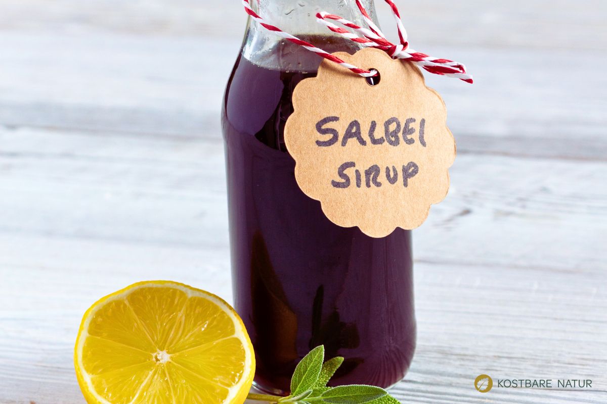 Salbei-Sirup Rezept