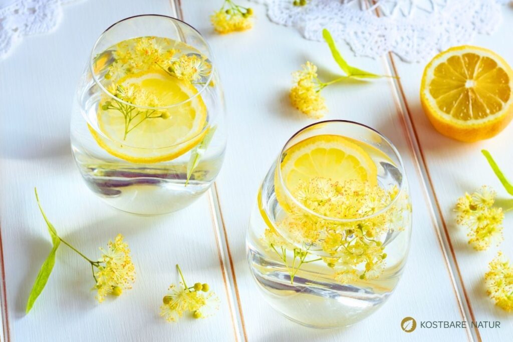Lindenblüten-Limonade