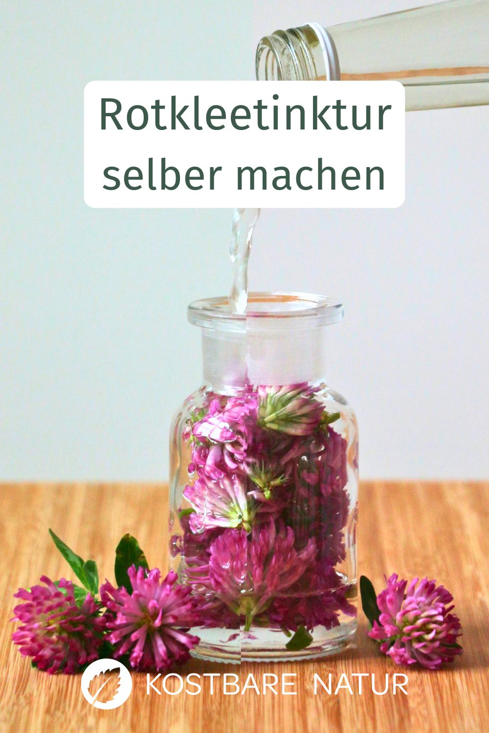 Eine Tinktur mit Rotklee ist leicht hergestellt und kann traditionell bei vielen Frauenleiden helfen.